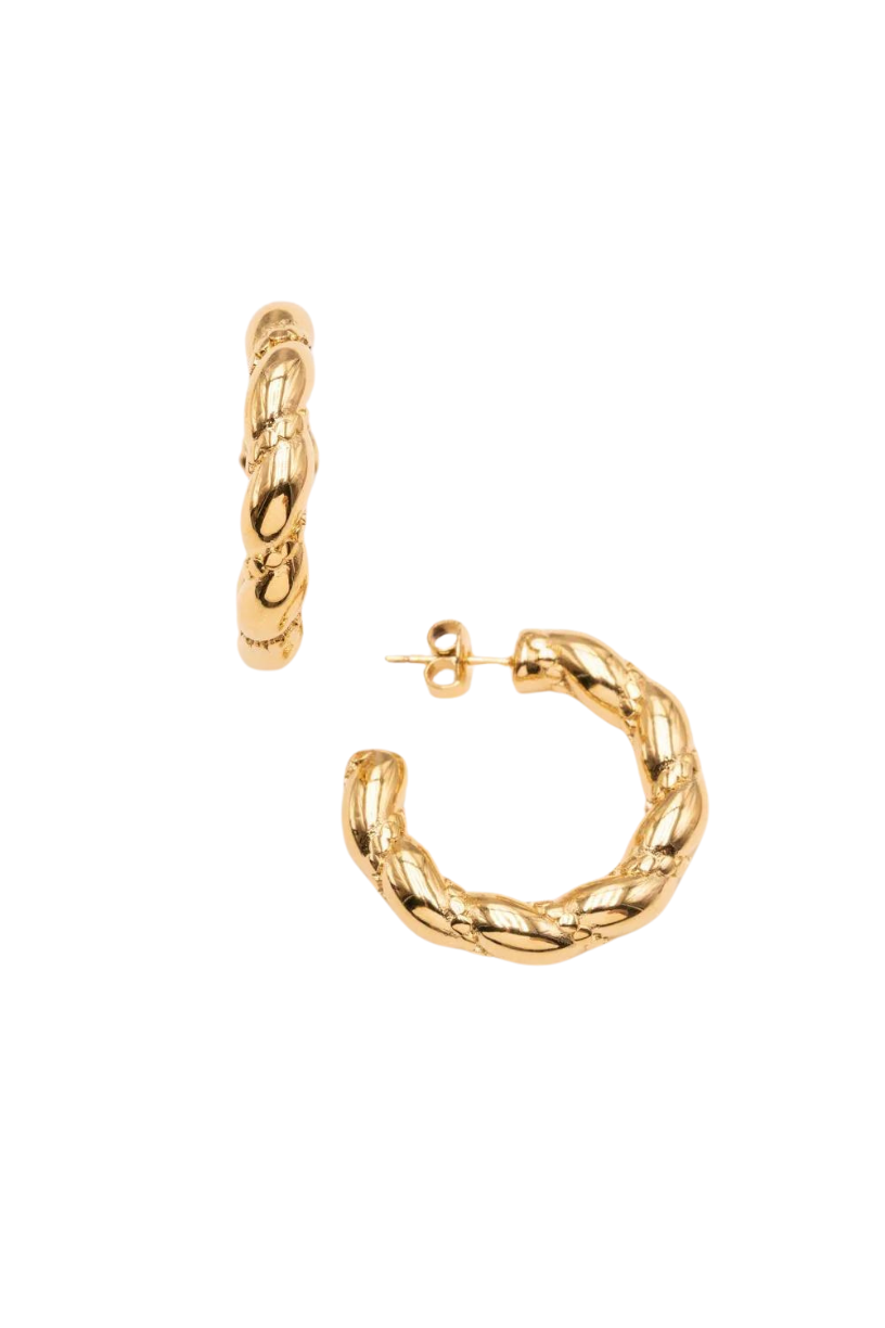 Twisted Hoop Earrings